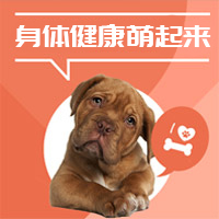 【H5微传单】宠物之家\u2014宠物医院介绍