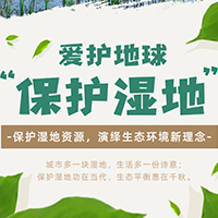 【H5微传单】简约风2.2世界湿地日保护环境环境宣传日爱公益环保