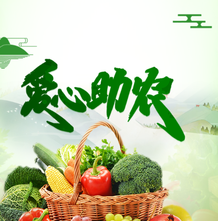 【H5微传单】绿色小清新暖心助农爱心助农精准扶贫果蔬农产品销售促销宣传