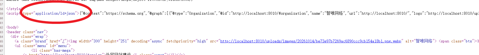 网页源代码中的 JSON-LD 结构化数据：script type=application/ld+json 内输出 @context schema.org 与 @graph，包含 Organization 类型、品牌名、官网地址与 logo